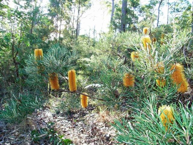 DE BAS BED & BREAKFAST Picture 1