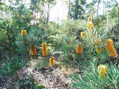 DE BAS BED & BREAKFAST Picture