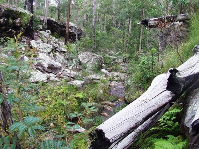 240 Bush Acres with Permanent Creek Picture