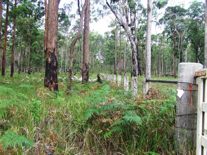 240 Bush Acres with Permanent Creek Picture 3