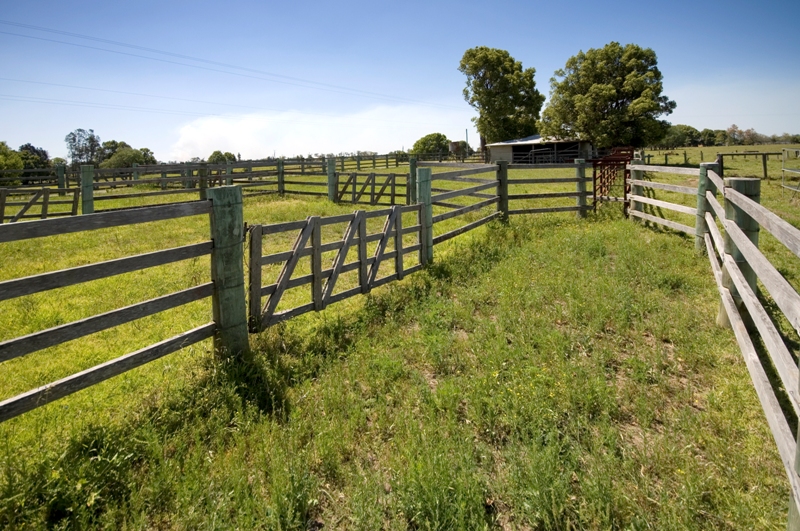 'FAIRWETHER FARM' - STYLISH, PRACTICAL RURAL LIVING - 2 TITLES Picture 3