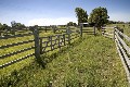 'FAIRWETHER FARM' - STYLISH, PRACTICAL RURAL LIVING - 2 TITLES Picture