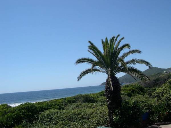 Once Only Opportunity Picture 1