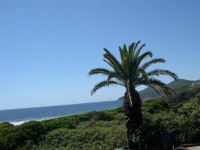 Once Only Opportunity Picture