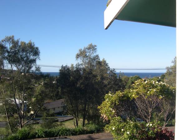 Prime Position Picture