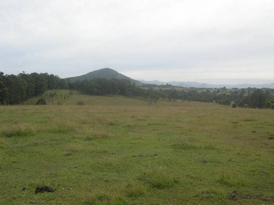 Fantastic Acreage on the Edge of Wingham Picture