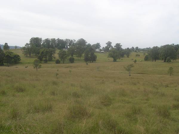 Fantastic Acreage on the Edge of Wingham Picture 2