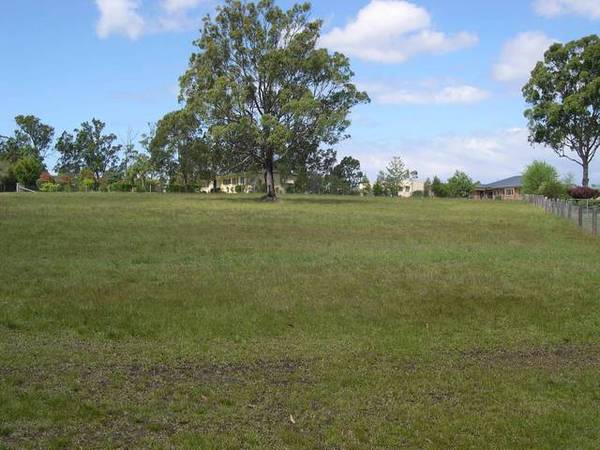 Highlands Beauty Picture 3