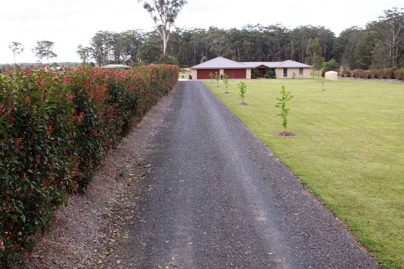 Come To Be Impressed Picture 2