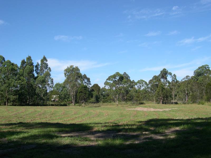 A Great Opportunity Picture 2