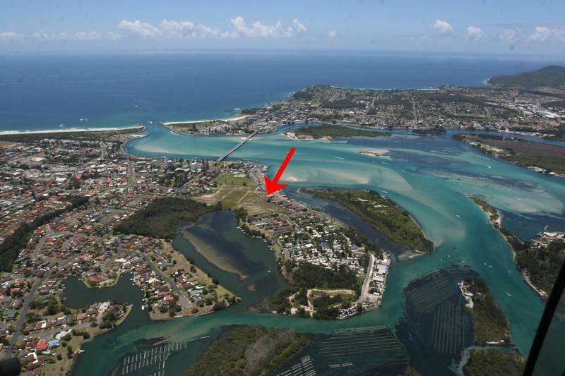 Fish From the Front Door Picture 1