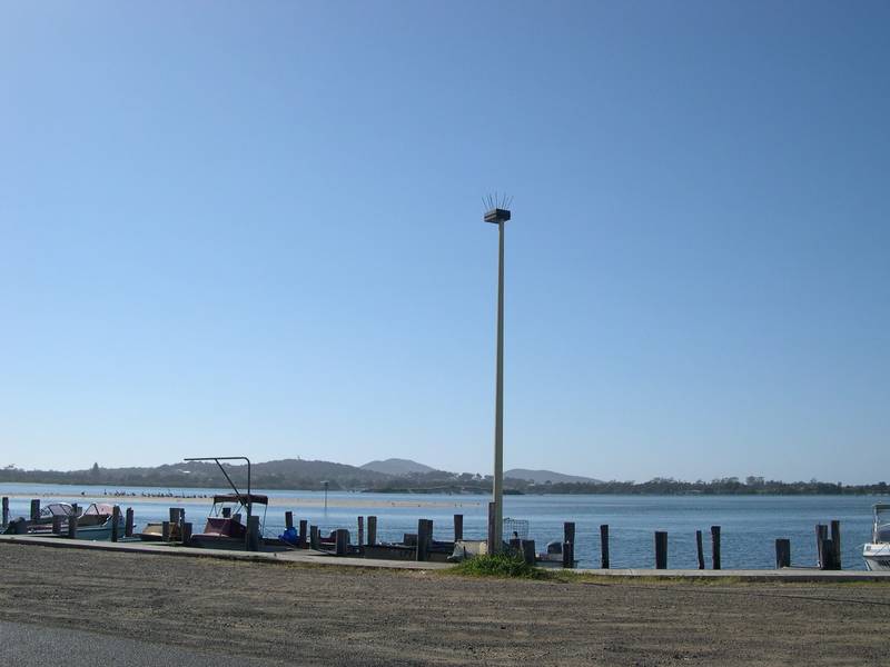 Fish From the Front Door Picture 2