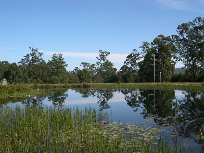 Impressive in Every Way Picture 2