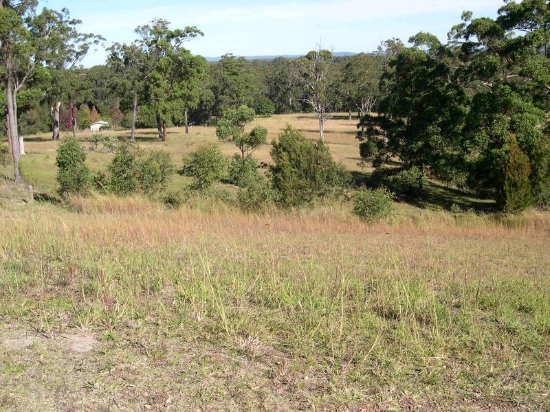 Bargain Buy At Tallwoods Picture 1