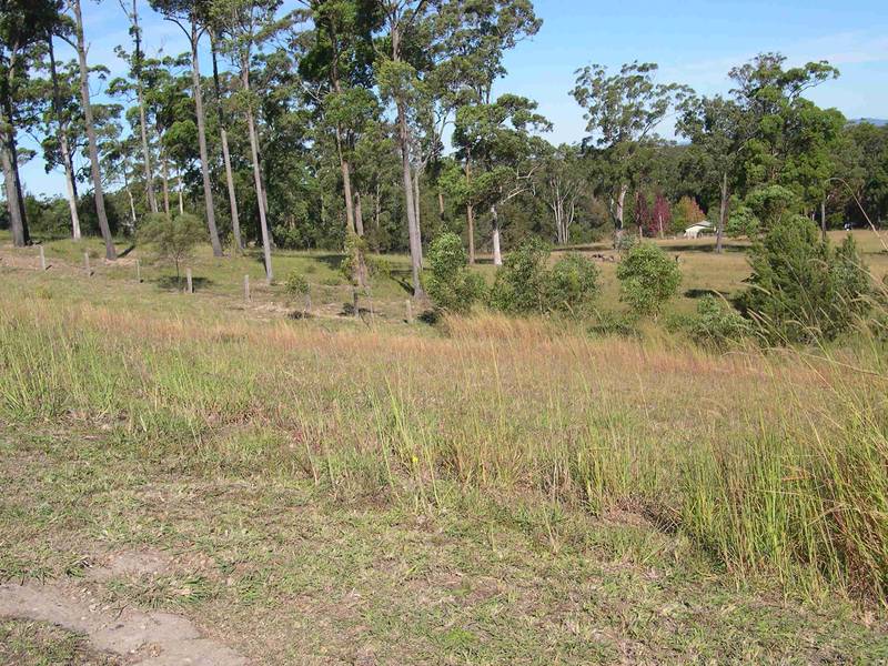 Bargain Buy At Tallwoods Picture 2