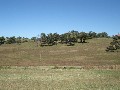 Diamond Beach near Forster Picture