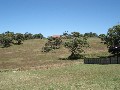 Diamond Beach near Forster Picture