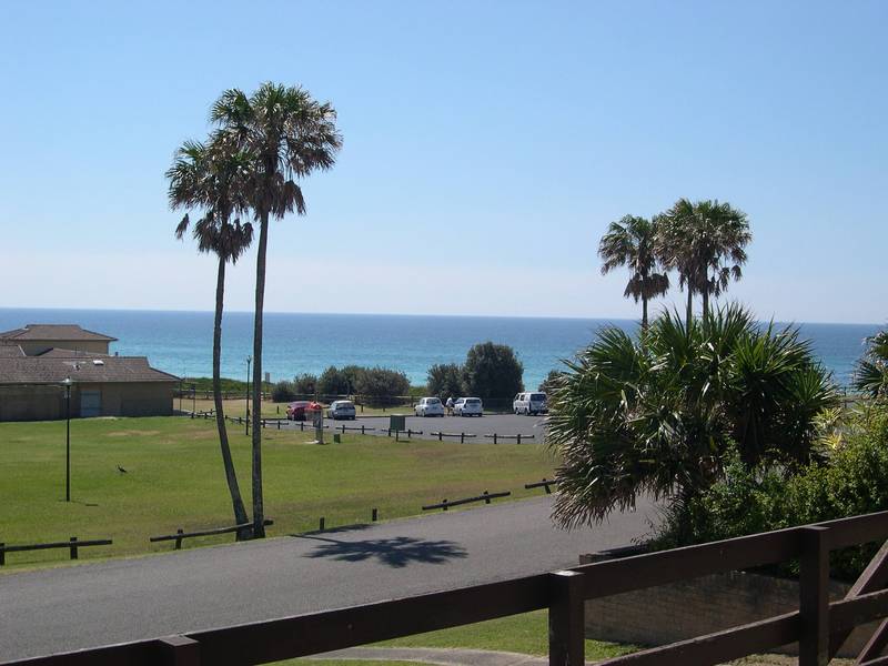 The Wait Is Finally Over Picture 1