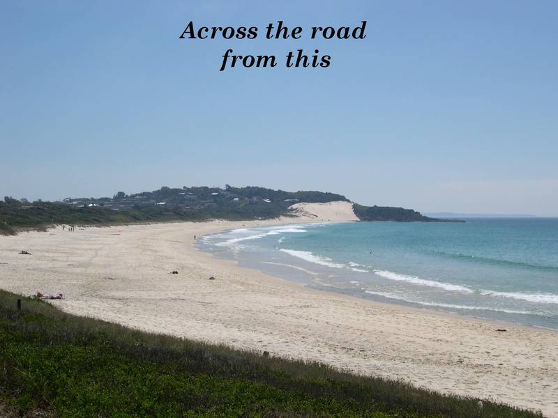 The Wait Is Finally Over Picture 3