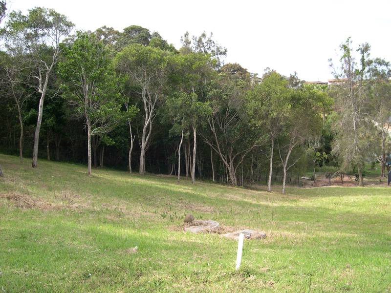 Value In Palms Estate Picture 2