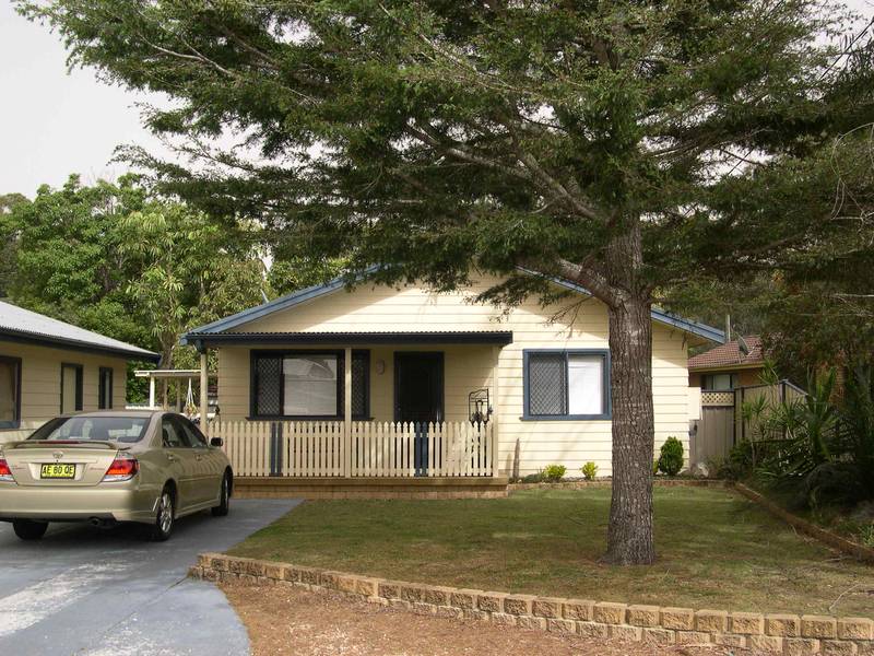 Surprise Package Picture 2