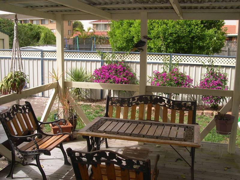 Surprise Package Picture 3