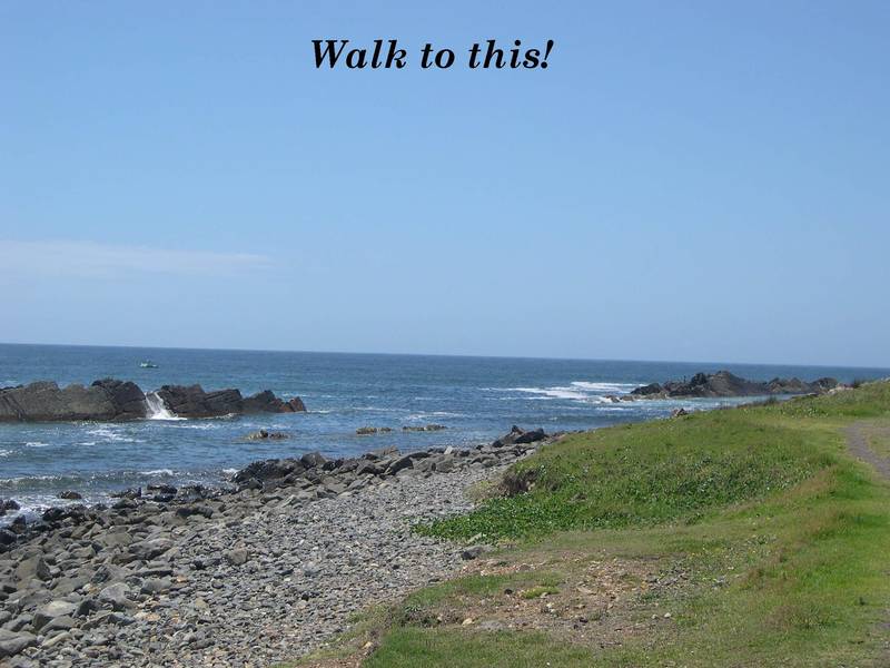 Great Investment Opportunity in Forster Picture 3