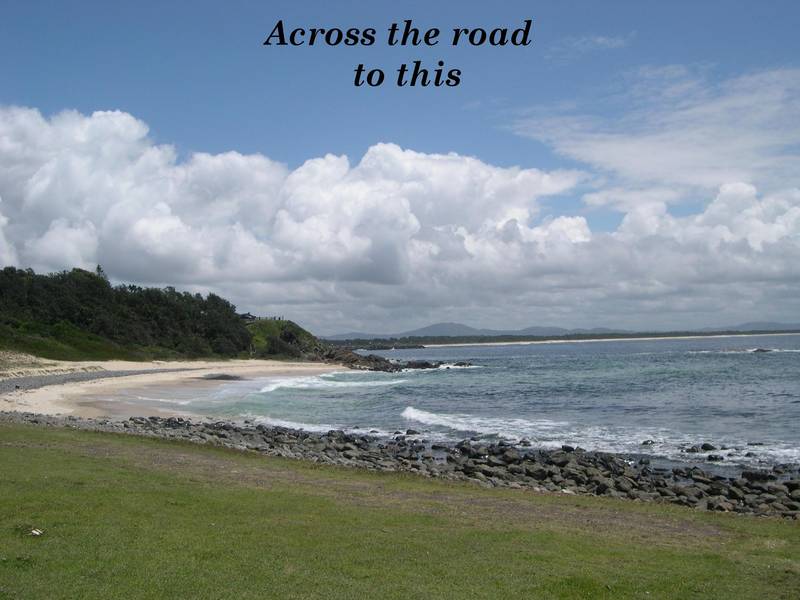 Great Investment Opportunity in Forster Picture 2