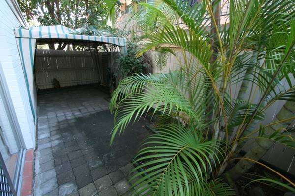 Chevron Island Apartment in Leafy Tree Studded Street Picture 2