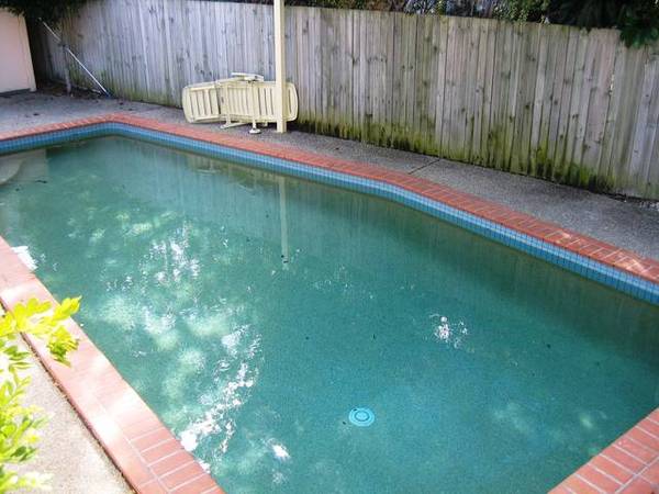 This Will Rent Fast!!! Picture This Will Rent Fast!!! Picture