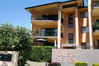 ONE WITH THE LOT Picture