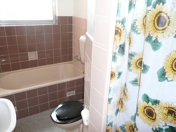 SPACIOUS & QUIET Picture