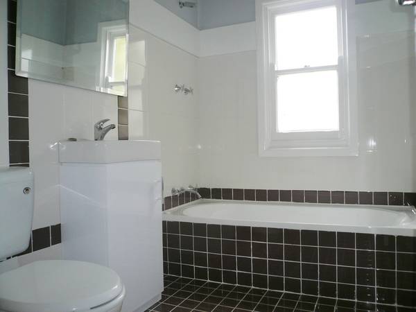 SURPRISE Picture SURPRISE Picture