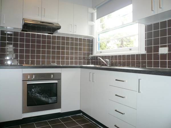 SURPRISE Picture SURPRISE Picture