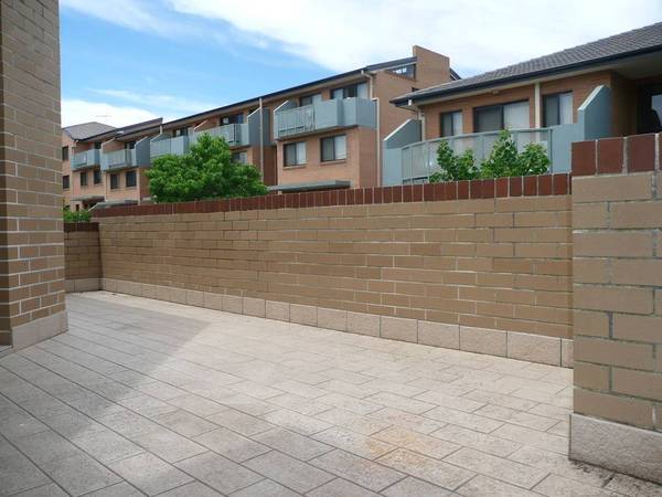 COURALLIE COMFORT Picture COURALLIE COMFORT Picture