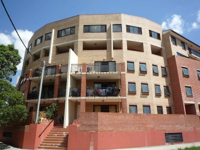 THE BIGGEST YOU WILL EVER FIND Picture THE BIGGEST YOU WILL EVER FIND Picture