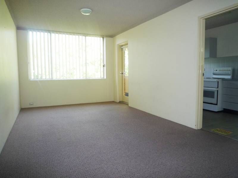 BIG & BRIGHT Picture BIG & BRIGHT Picture