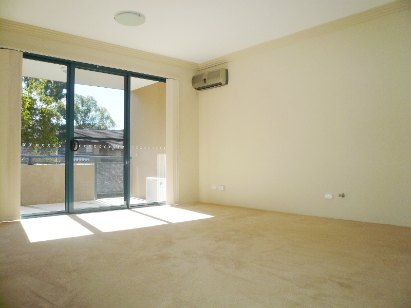 YOU WON'T FIND BIGGER OR BETTER Picture 3