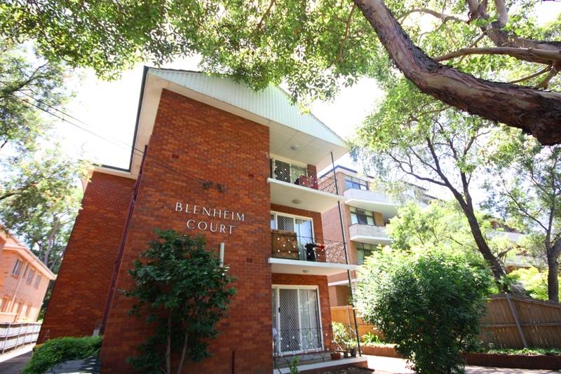 STRATHFIELD BARGAIN OF THE WEEK Picture 1