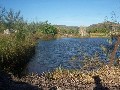 115 ACRES OF GOOD SOIL AND 200 MEGS OF WATER Picture