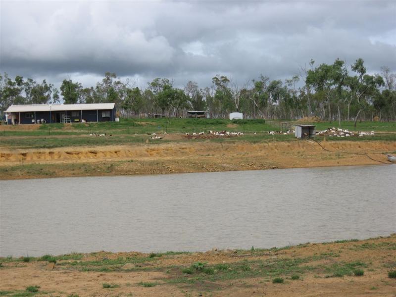 1100 ACRES WITH A CREEK Picture 1