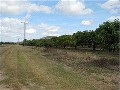 Farm - Diversified Income Picture