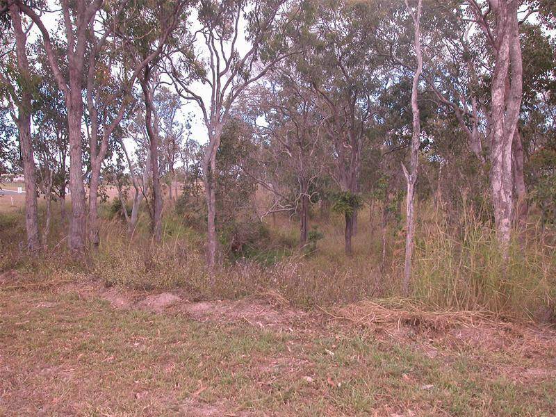 READY TO BUILD ON NOW- 1 ACRE CLOSE TO TOWN! Picture 2