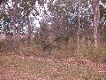 READY TO BUILD ON NOW- 1 ACRE CLOSE TO TOWN! Picture