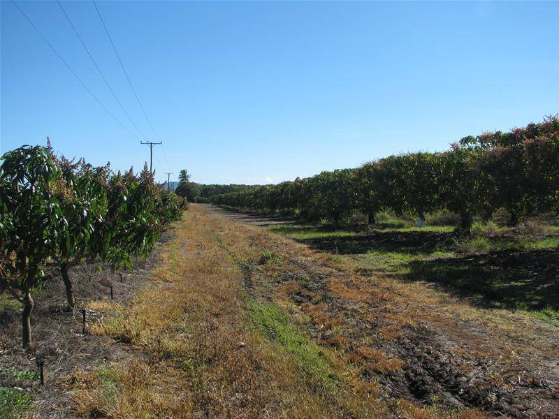 Great Farm Picture 2