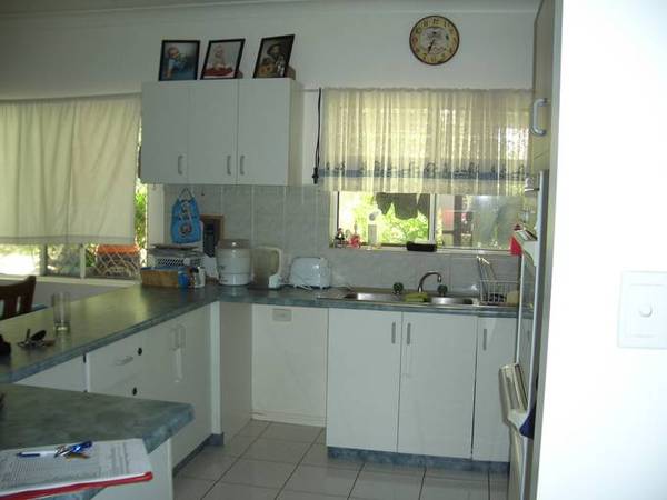 THIS COULDE BE THE ONE Picture THIS COULDE BE THE ONE Picture