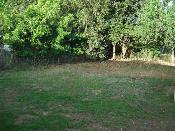 GOING...... GOING.... GOING...SOOON!!!!!! Picture GOING...... GOING.... GOING...SOOON!!!!!! Picture