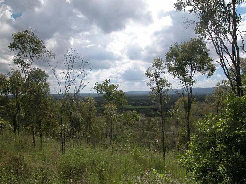 AUCTION RURAL HEAVEN Picture AUCTION RURAL HEAVEN Picture