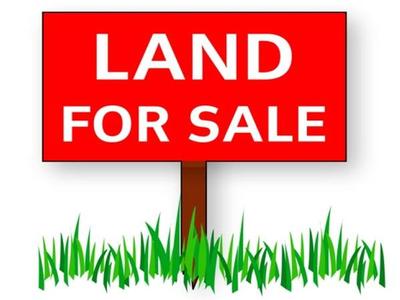 Two of the Estate's prestigious allotments Picture Two of the Estate's prestigious allotments Picture