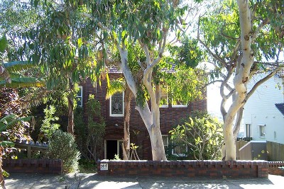 ***SOLD! SOLD! SOLD!*** Picture